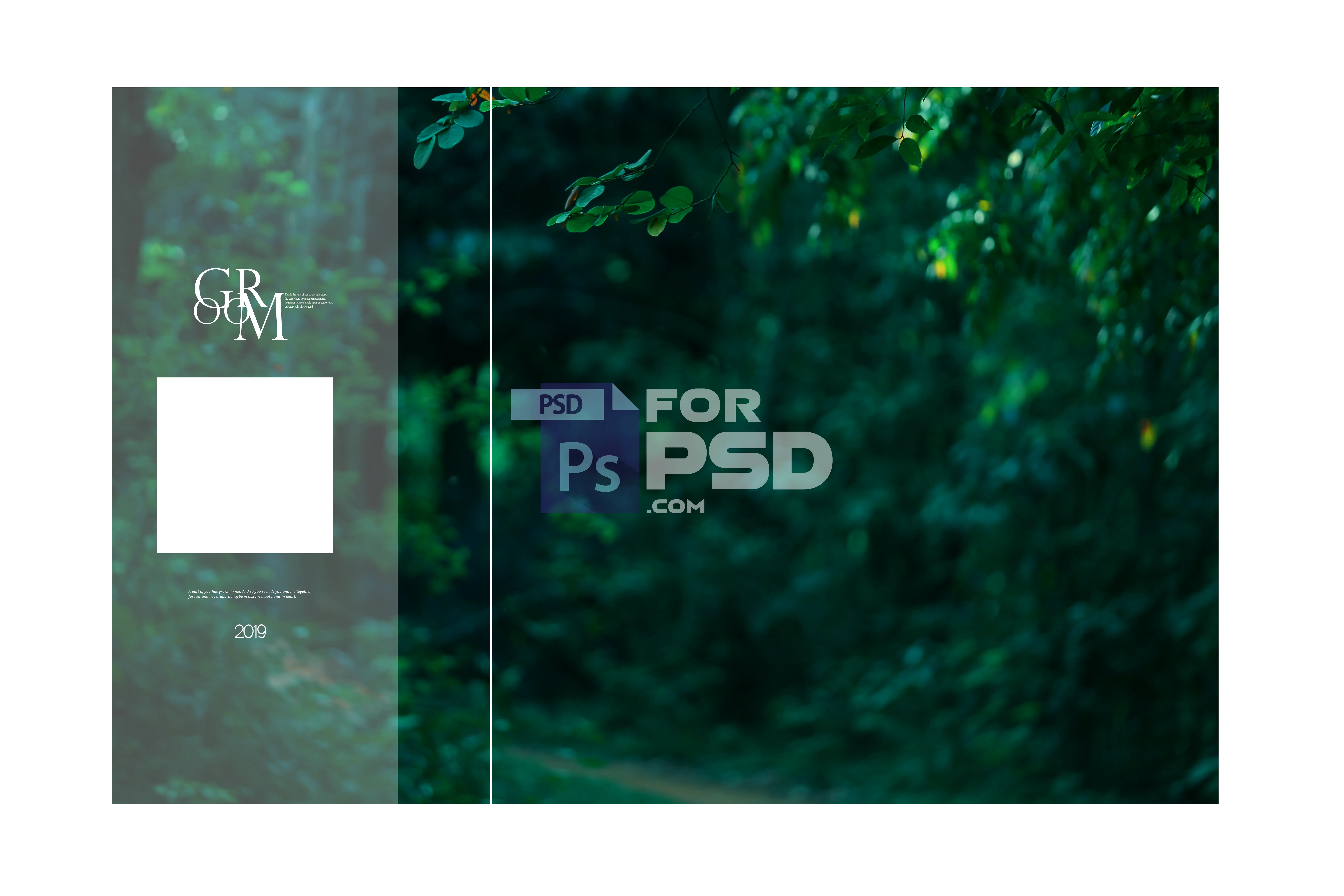 Image Preview